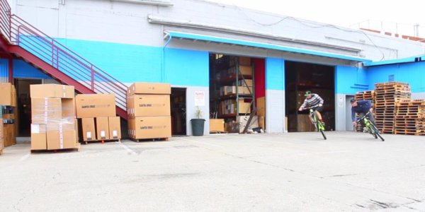 josh_bryceland_steve_peat_santacruz_chameleon