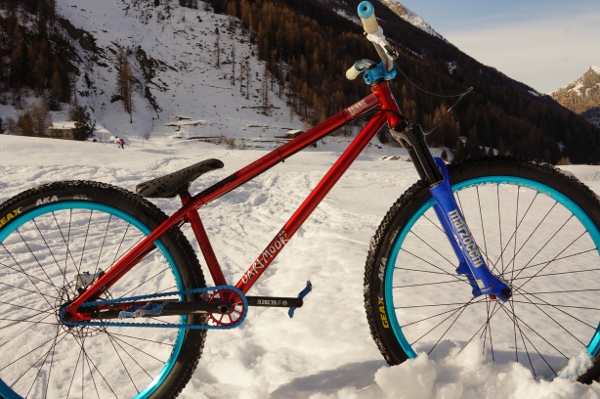 dartmoor_quinnie_full