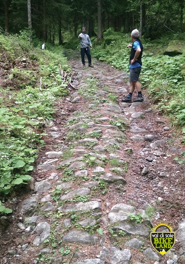 val_di_sole_downhill_tracciato_pista_2014_08